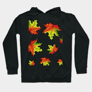 autumn season Hoodie